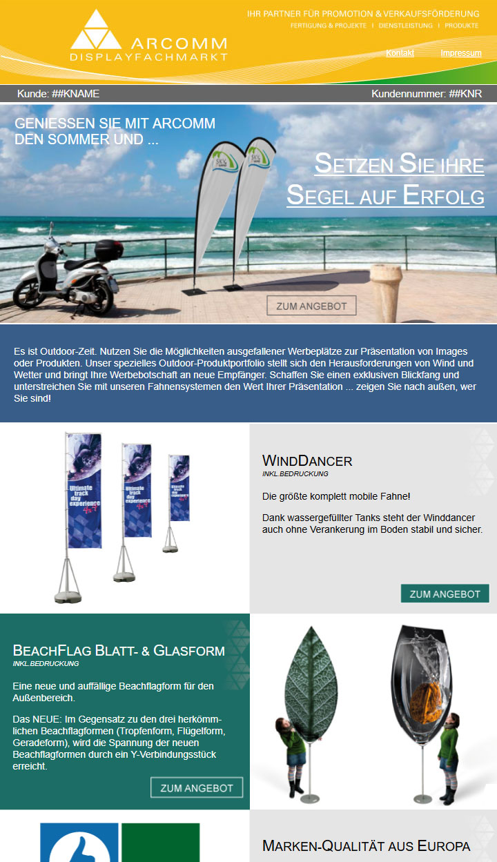 Vorschau Newsletter Fahnen