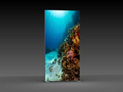 Messewand "BigFrame Lightbox" inkl.Druck (Messewaende)