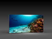 Messewand "BigFrame Lightbox" inkl.Druck (Messewaende)