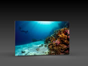 Messewand "BigFrame Lightbox" inkl.Druck (Messewaende)