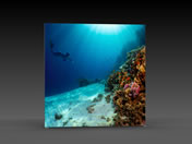 LED-Messewand "BigFrame Lightbox" inkl.Druck (LEDWaende)