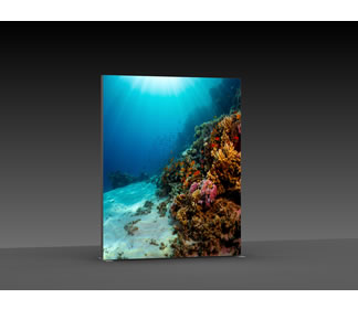 Details zu Messewand "BigFrame Lightbox" inkl.Druck