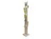 Bodenaufsteller "Dacapo Wood"  (greenline) 