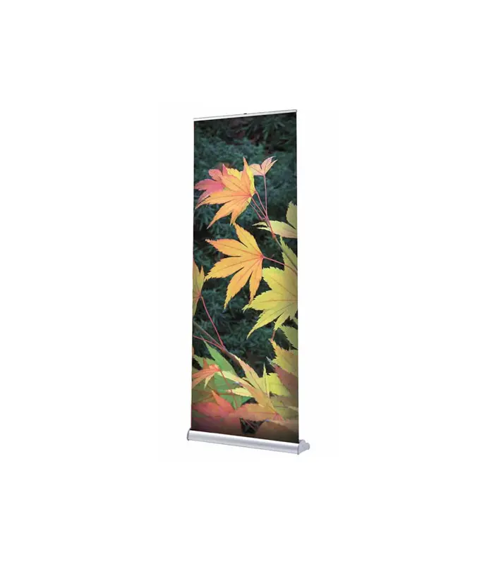 Rollup-Display "Orient" inkl. Druck