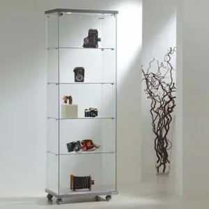 Design-Ausstellungsvitrine "Vetrina"
