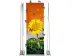 Roll UP "Professionell  Double" inkl. Druck  (Rollups) 