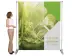 Bannerdisplay "Pegasus" inkl. Druck  (Bannerdisplays) 