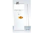 Bannerdisplay "4 Screen Classic" inkl. Druck