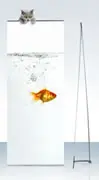 Details zu Bannerdisplay "4 Screen Classic" inkl. Druck ArtNr.110631-1801