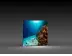 LED-Messewand "BigFrame Lightbox" inkl.Druck  (LEDWaende) 