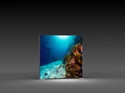 (Leuchtdisplays "BigFrame Lightbox" inkl.Druck)