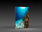 (Leuchtdisplays "BigFrame Lightbox" inkl.Druck)
