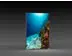 Leuchtdisplays "BigFrame Lightbox" inkl.Druck  (Leuchtdisplays) 