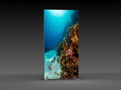 Messewand "BigFrame Lightbox" inkl.Druck (Messewaende)