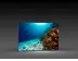 LED-Messewand "BigFrame Lightbox" inkl.Druck  (LEDWaende) 