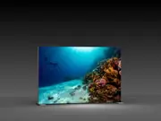 (LED-Messewand "BigFrame Lightbox" inkl.Druck)