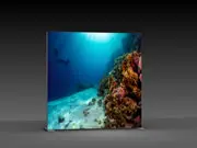 (LED-Messewand "BigFrame Lightbox" inkl.Druck)