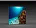 LED-Messewand "BigFrame Lightbox" inkl.Druck  (LEDWaende) 