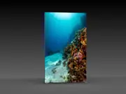 (LED-Messewand "BigFrame Lightbox" inkl.Druck)
