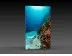 LED-Messewand "BigFrame Lightbox" inkl.Druck  (LEDWaende) 