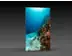 LED-Messewand "BigFrame Lightbox" inkl.Druck  (LEDWaende) 