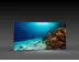 LED-Messewand "BigFrame Lightbox" inkl.Druck  (LEDWaende) 