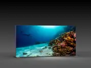 (LED-Messewand "BigFrame Lightbox" inkl.Druck)