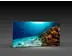LED-Messewand "BigFrame Lightbox" inkl.Druck  (LEDWaende) 