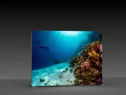 (LED-Messewand "BigFrame Lightbox" inkl.Druck)