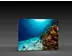LED-Messewand "BigFrame Lightbox" inkl.Druck  (LEDWaende) 