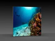 (LED-Messewand "BigFrame Lightbox" inkl.Druck)