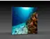 LED-Messewand "BigFrame Lightbox" inkl.Druck  (LEDWaende) 