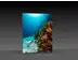 LED-Messewand "BigFrame Lightbox" inkl.Druck  (LEDWaende) 