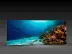 LED-Messewand "BigFrame Lightbox" inkl.Druck  (LEDWaende) 