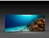 LED-Messewand "BigFrame Lightbox" inkl.Druck  (LEDWaende) 