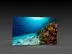 LED-Messewand "BigFrame Lightbox" inkl.Druck  (LEDWaende) 