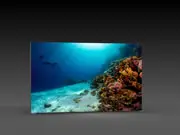 (LED-Messewand "BigFrame Lightbox" inkl.Druck)