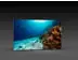 LED-Messewand "BigFrame Lightbox" inkl.Druck  (LEDWaende) 