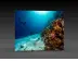 Messewand "BigFrame Lightbox" inkl.Druck  (Messewaende) 
