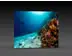 LED-Messewand "BigFrame Lightbox" inkl.Druck  (LEDWaende) 