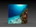 LED-Messewand "BigFrame Lightbox" inkl.Druck  (LEDWaende) 