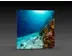 LED-Messewand "BigFrame Lightbox" inkl.Druck  (LEDWaende) 