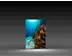 Leuchtdisplays "BigFrame Lightbox" inkl.Druck  (Leuchtdisplays) 