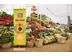 Holzbanner "Wood Craft" inkl. Druck  (Bannerdisplays) 