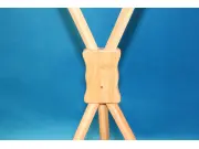 | (Greenline-X-Banner "Bambus" mit Bedruckung)