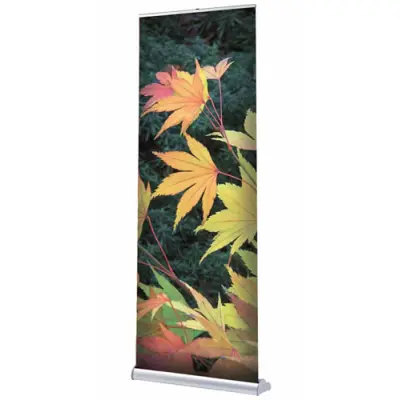 Rollup-Display "Orient" inkl. Druck (Rollups)