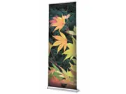 | (Rollup-Display "Orient" inkl. Druck)