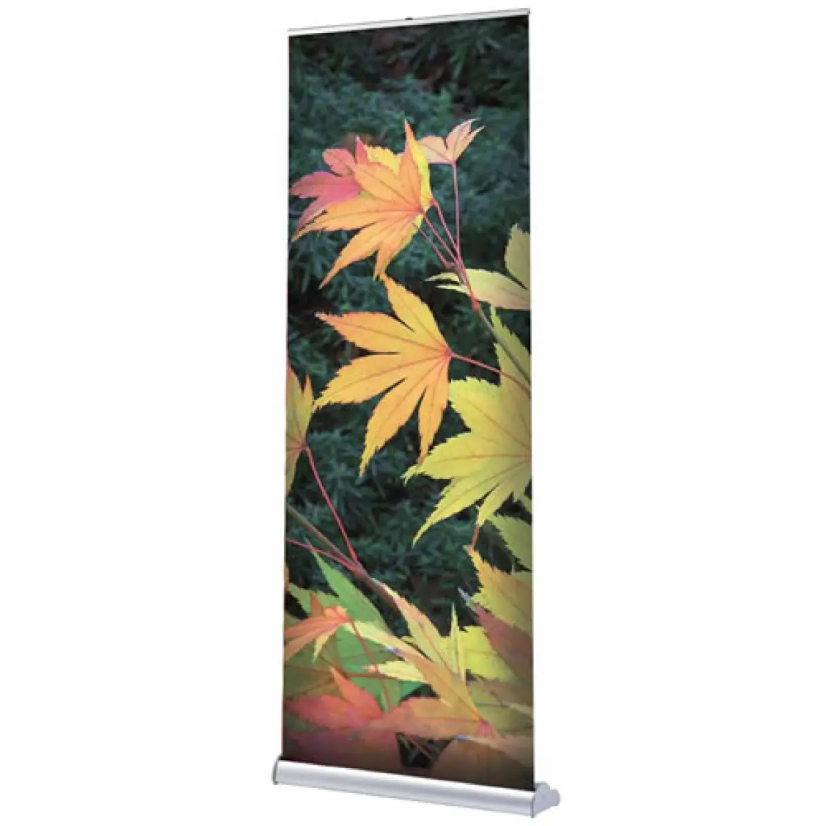 Rollup-Display "Orient" inkl. Druck