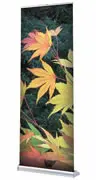 Details zu Rollup-Display "Orient" inkl. Druck ArtNr.103191-4557